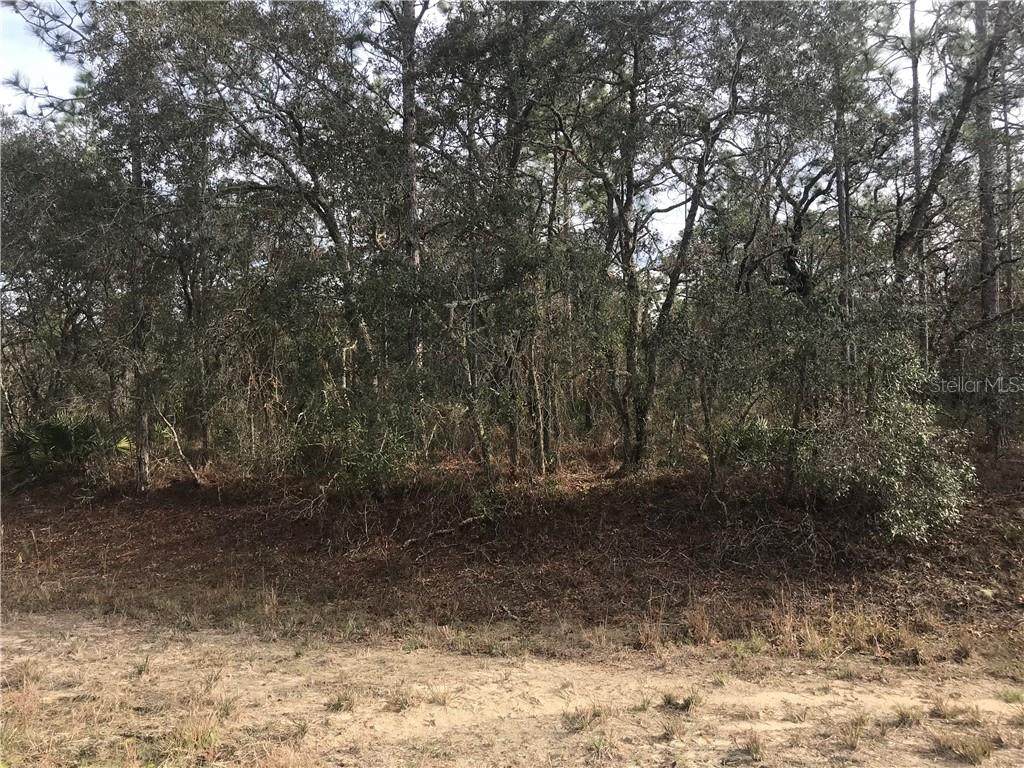 000 Sage Thrasher Avenue - Photo 1