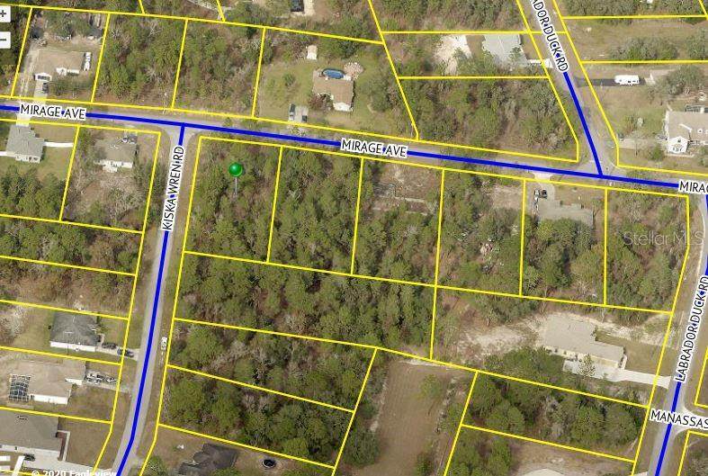 11282 Kiska Wren Road - Photo 1