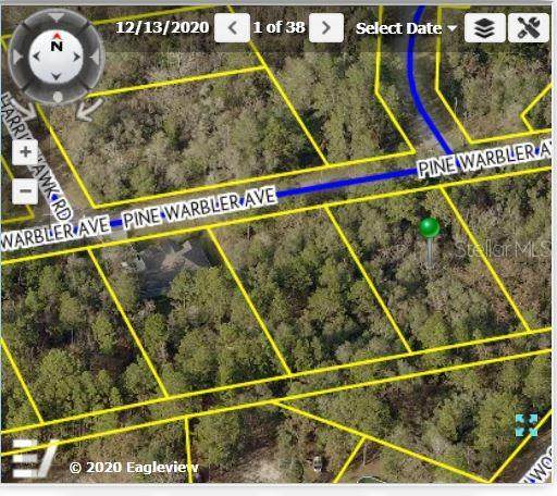 12142 Pine Warbler Avenue - Photo 1