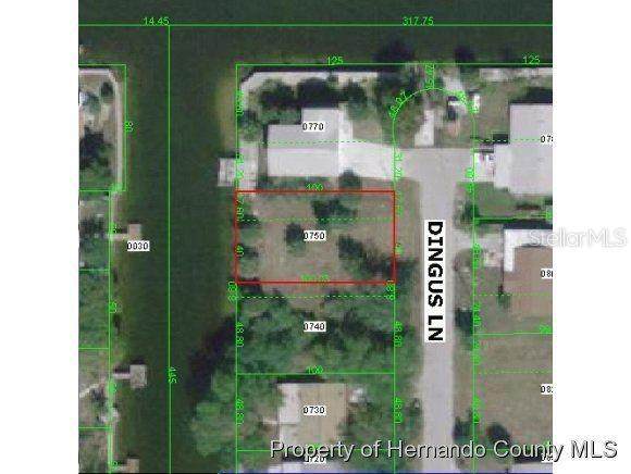 Lot 75 Dingus Lane - Photo 1