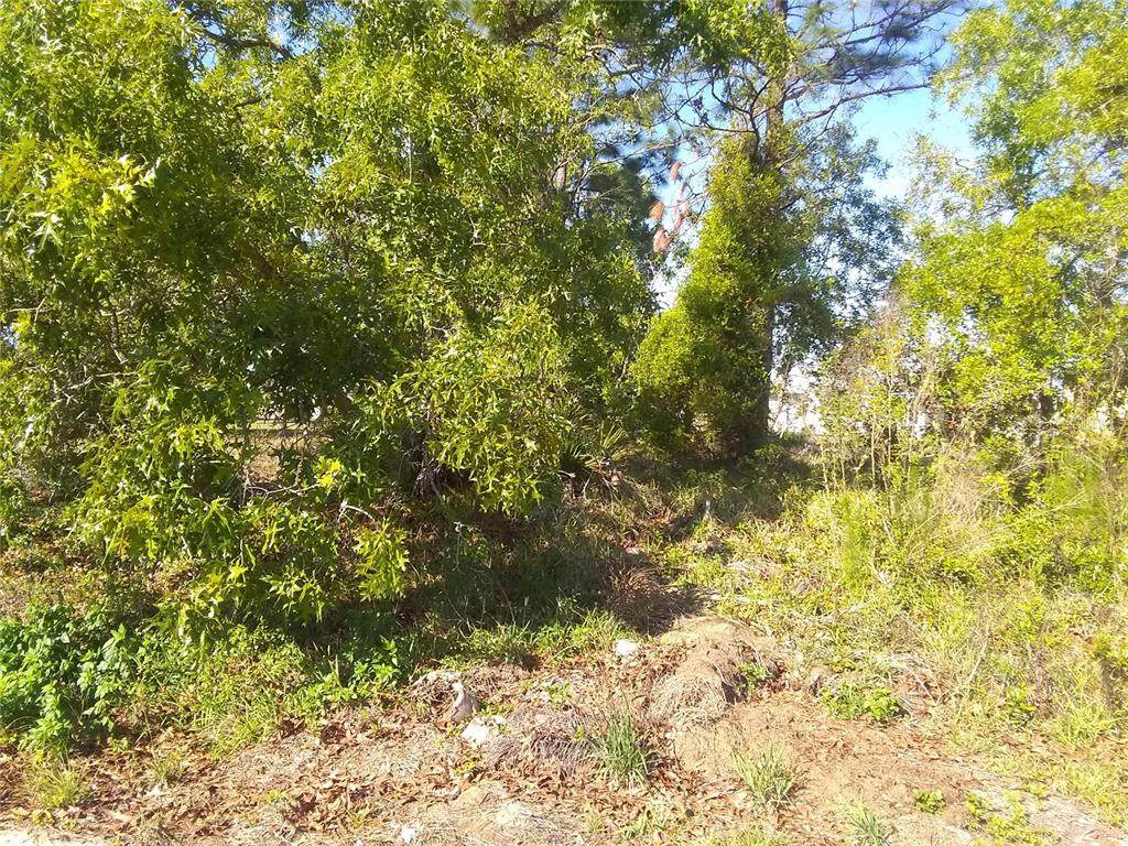 11396 Parkview Street - Photo 1