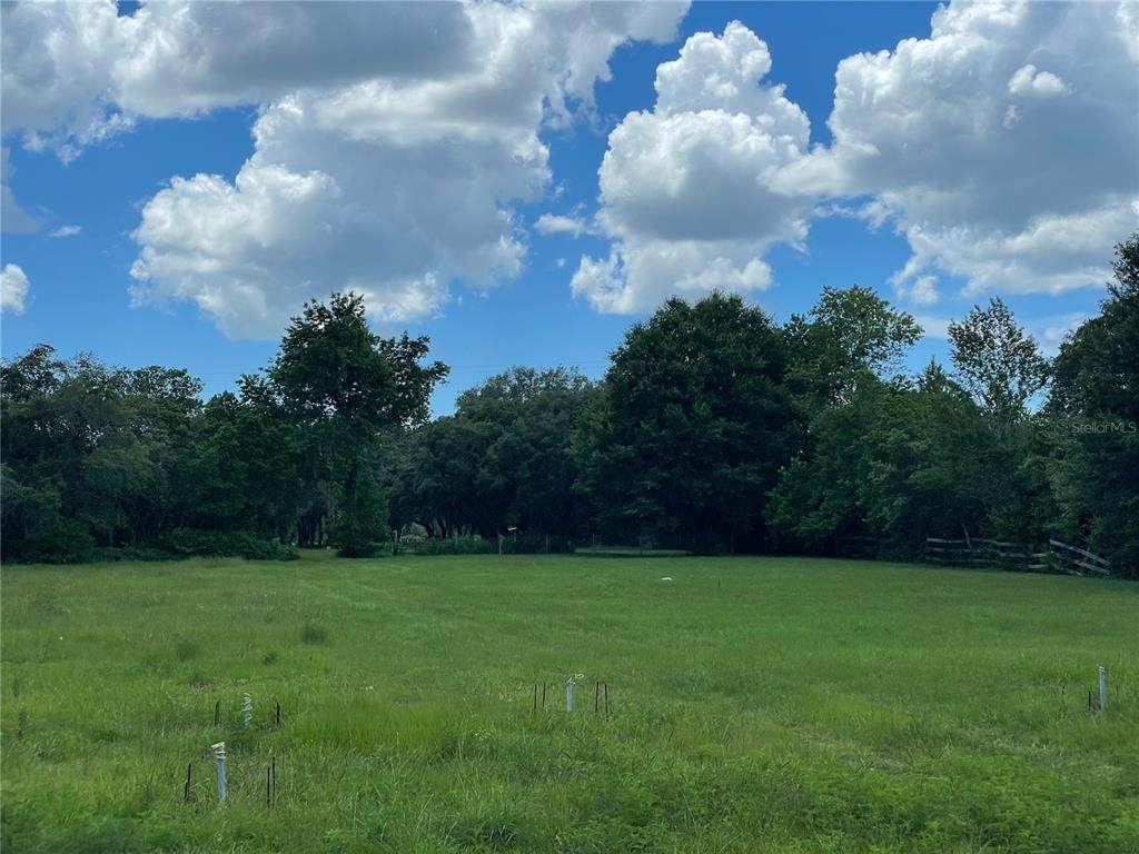 361 Peach Tree Drive - Photo 1