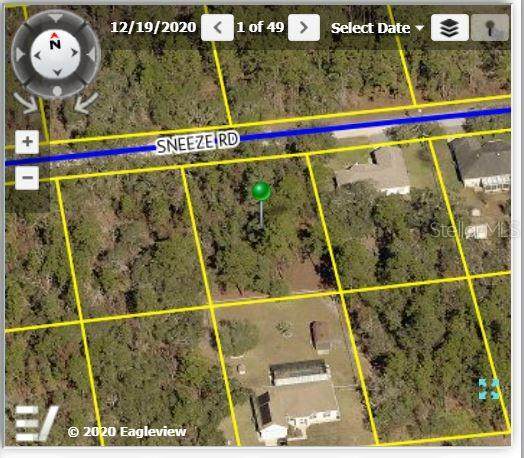 11252 Sneeze Road - Photo 1