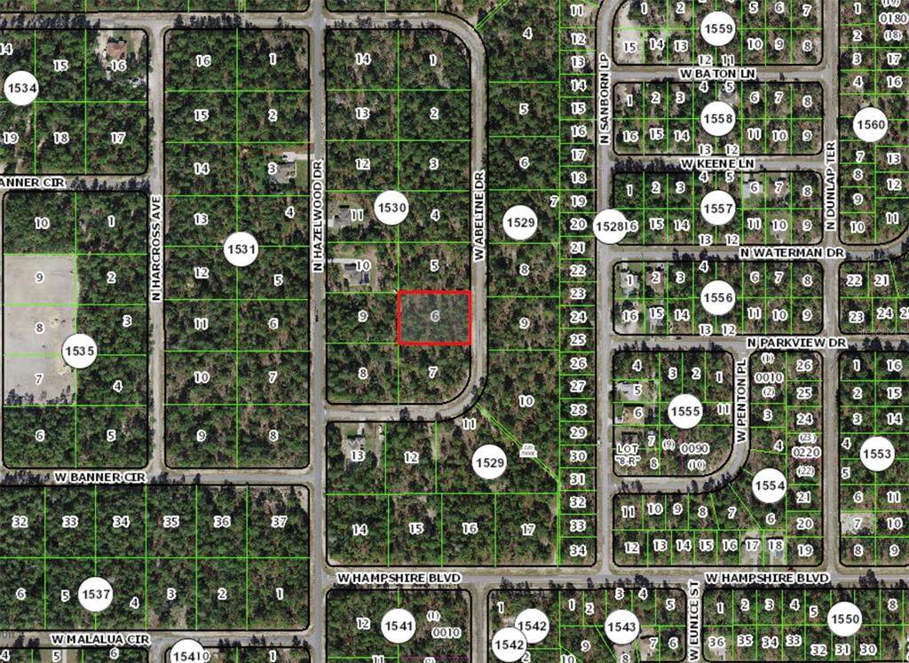 4036 Abeline Drive - Photo 1