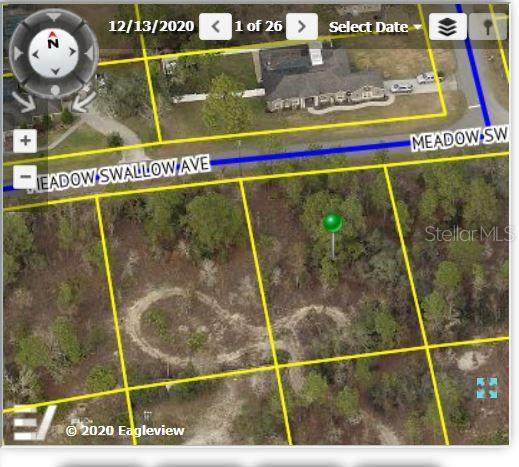 12460 Meadow Swallow Avenue - Photo 1