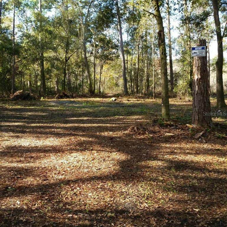 Bigelow Avenue - Photo 1