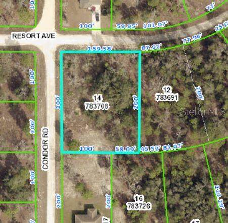 Resort Avenue - Photo 1