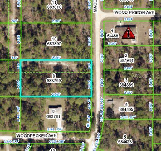 17473 Macek Road - Photo 1