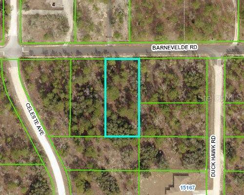13314 Barnevelde Road - Photo 1
