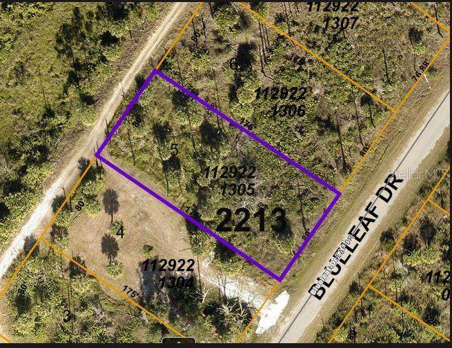 2022-0514 Blueleaf Drive - Photo 1