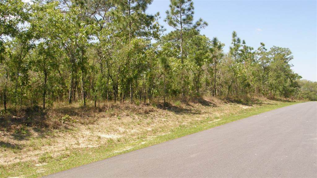 11462 Petrel Avenue - Photo 1
