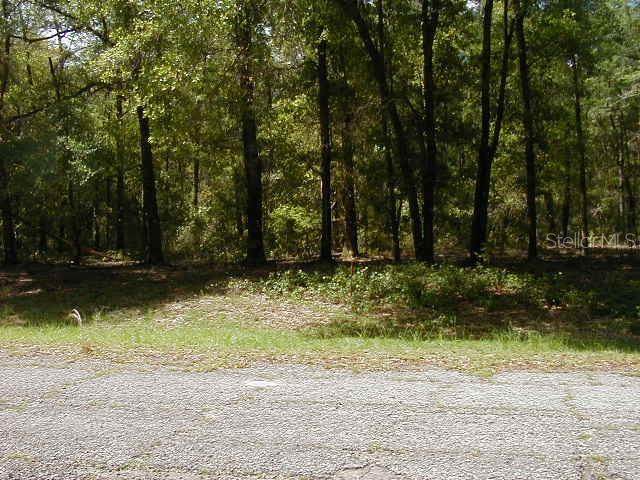1650 Badger Drive - Photo 1