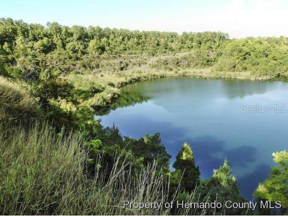 Pleasant Grove - Photo 1