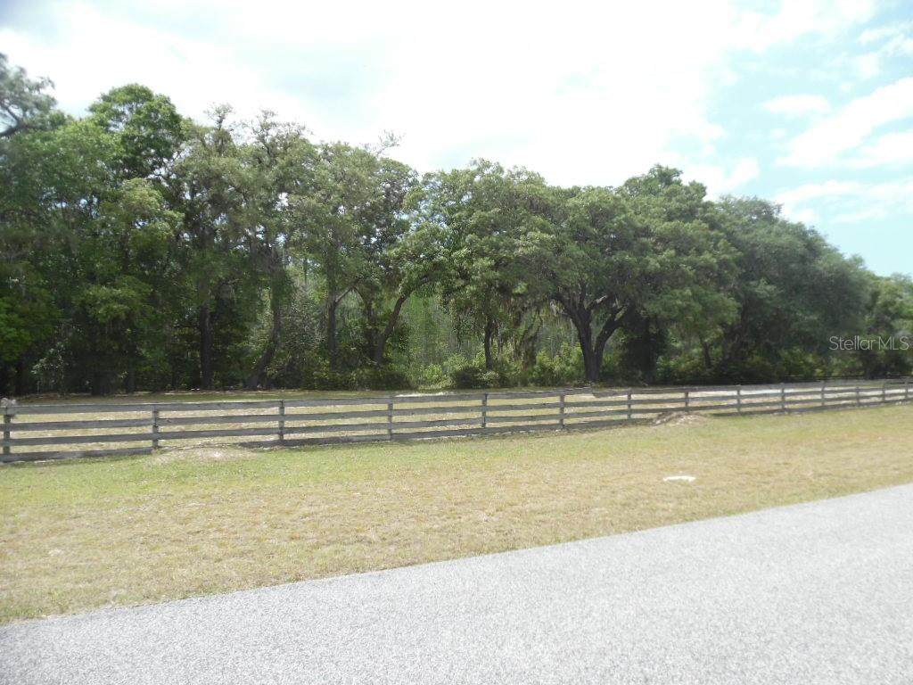 12303 Pasco Trails Boulevard - Photo 1