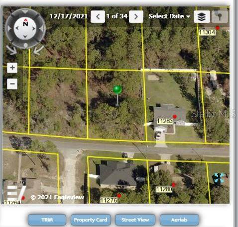 11277 Fool Duck Avenue - Photo 1