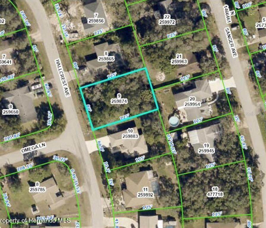 0 Hallcrest Avenue - Photo 1