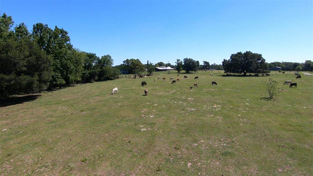 0 Hayman (Parcel 5) Road - Photo 1
