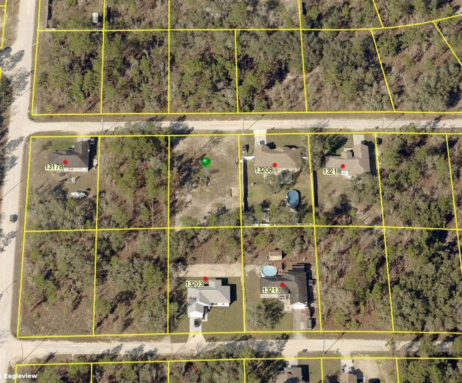 13198 Red Bone Avenue - Photo 1