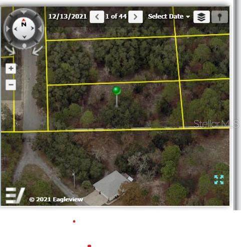 12358 Mountain Dove Road - Photo 1