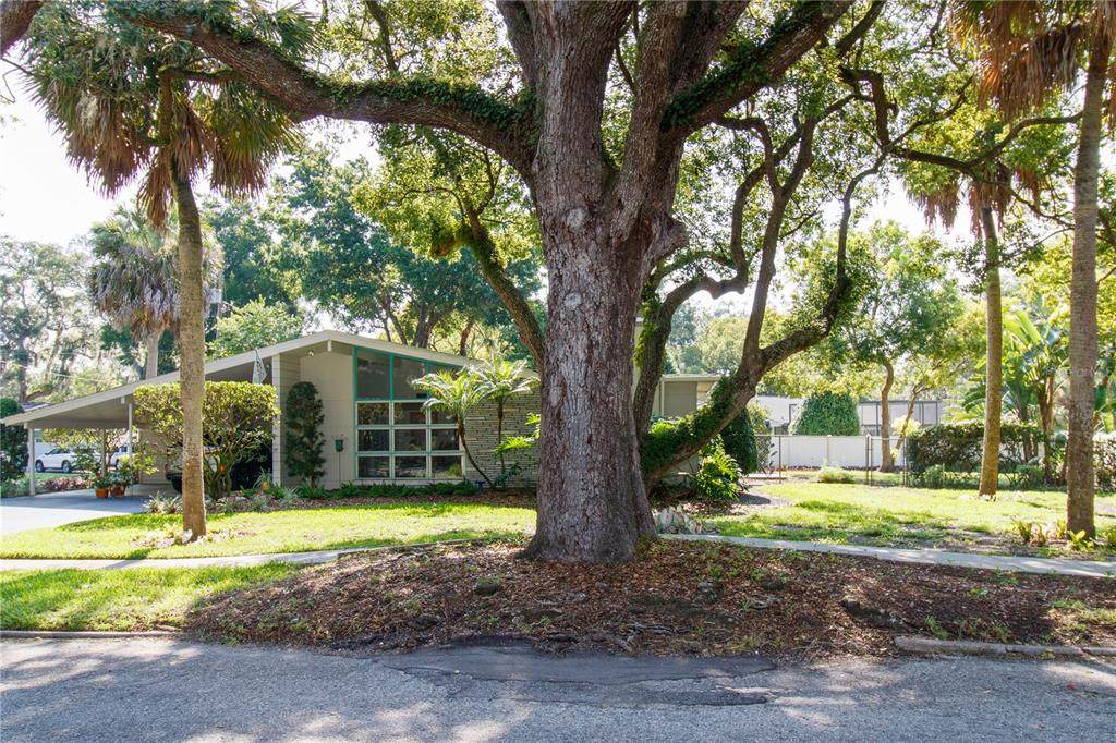 7130 Park Drive - Photo 1