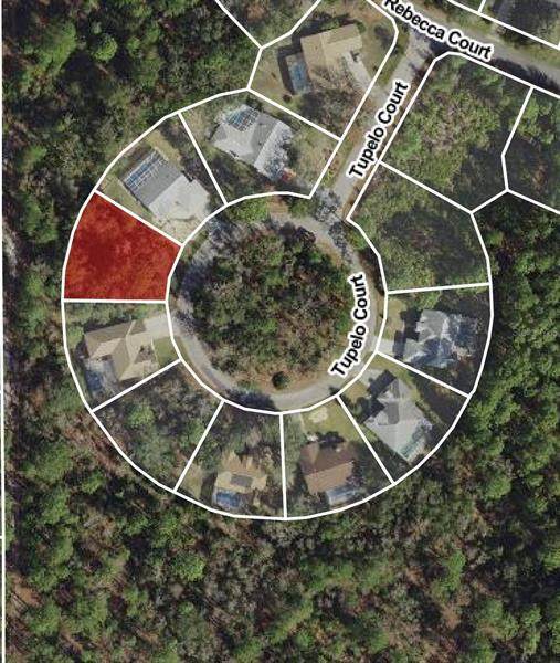 8 Tupelo Court - Photo 1