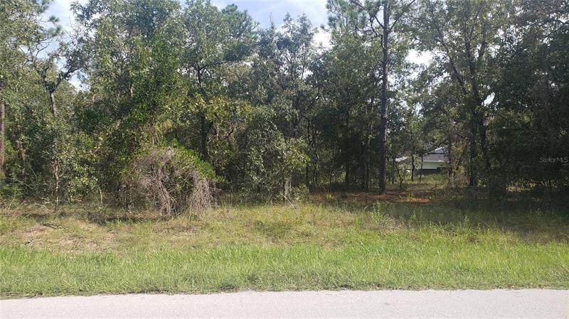 3029 Anderson Street - Photo 1