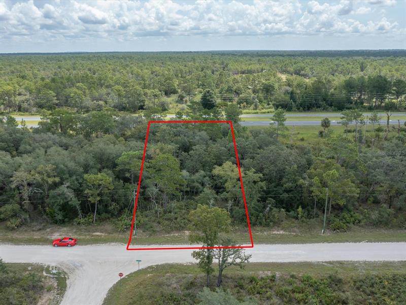 Lot 28 Parakeet Road - Photo 1