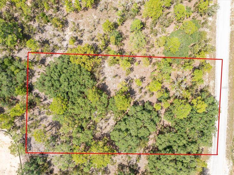 14077 Grebe Road - Photo 1