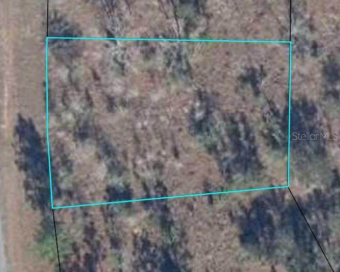 LOT 23 Concord Boulevard - Photo 1