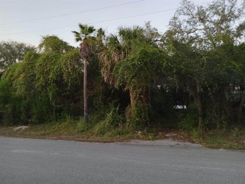Lantana Avenue - Photo 1