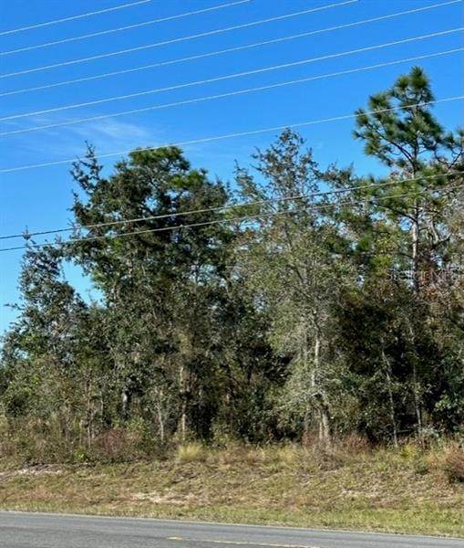 0 QUINTON RD - LOT 2 - Photo 1