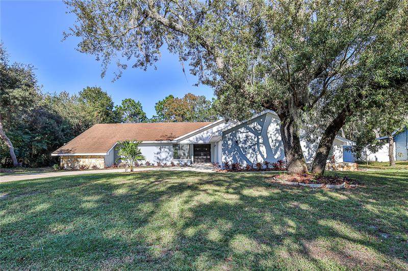 8253 Galgano Lane - Photo 1