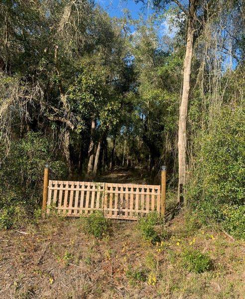 0000 Sonia Avenue - Photo 1
