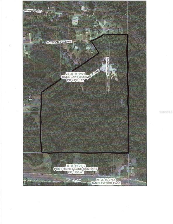 0 Royal Palm Ave - Photo 1