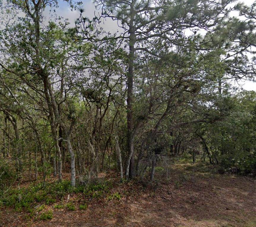 10 Milbark Drive - Photo 1