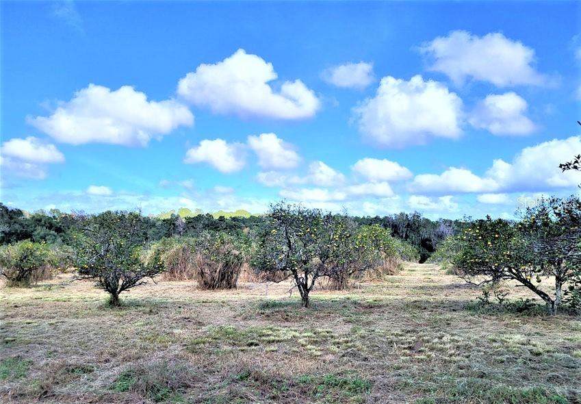 0 North Avenue - Photo 1