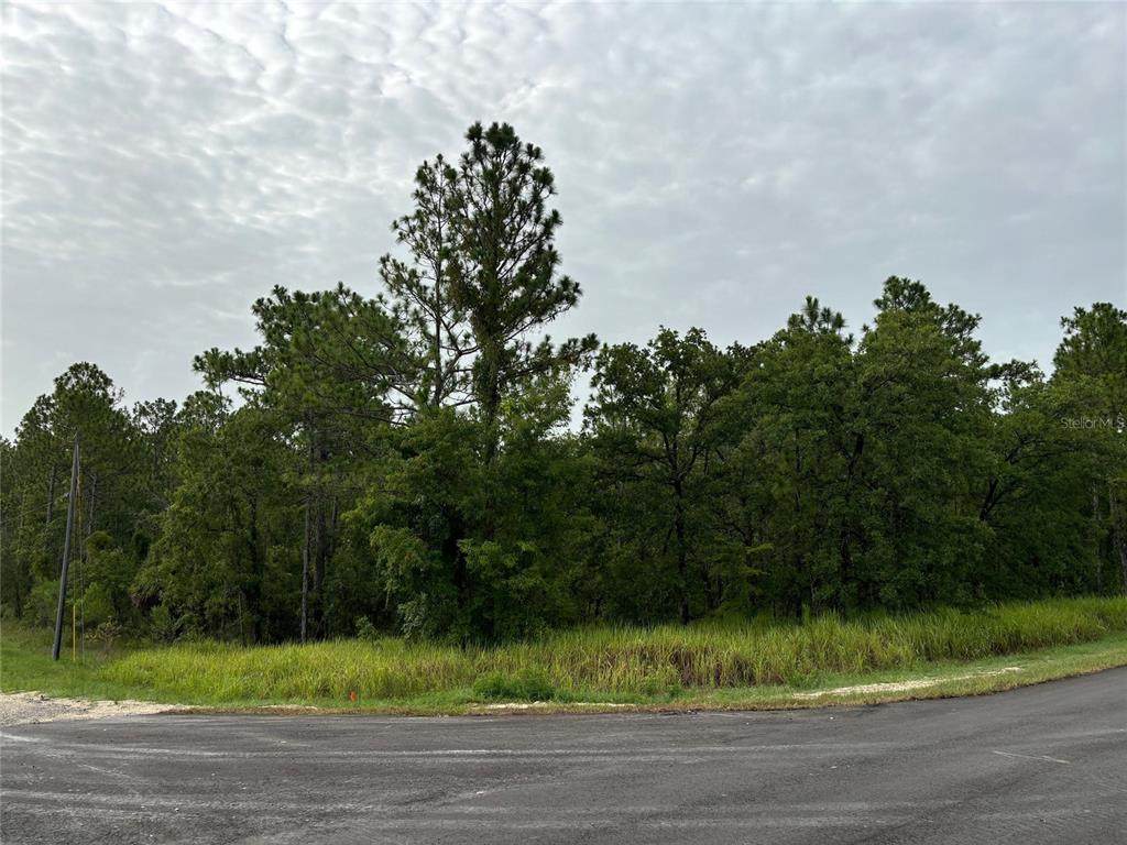 Lot 1 Penn State Road - Photo 1