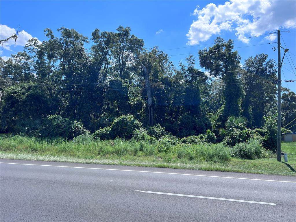 Us 19 Highway - Photo 1