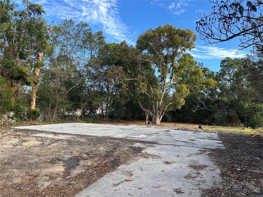 11411 Sagamore Street - Photo 1