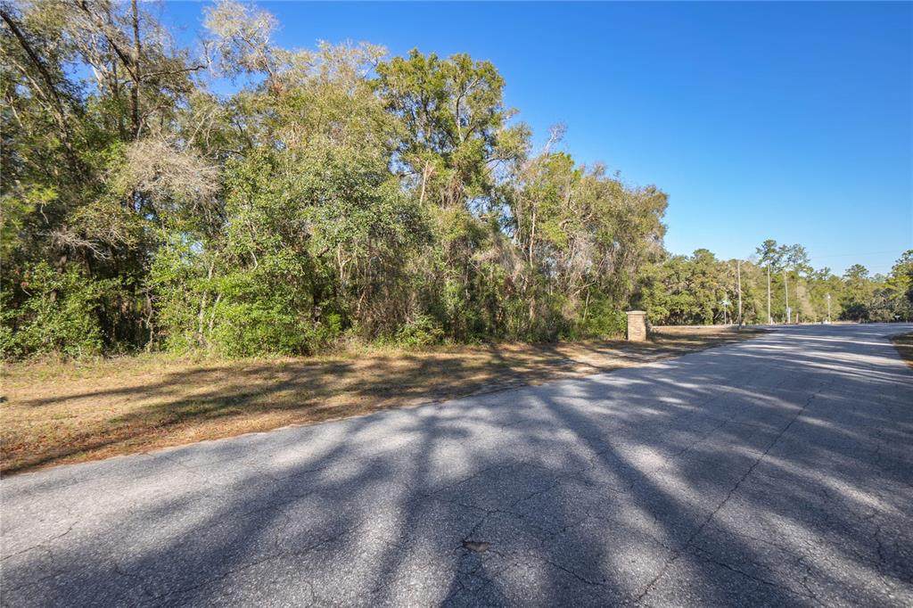 2177 Citrus Springs Boulevard - Photo 1