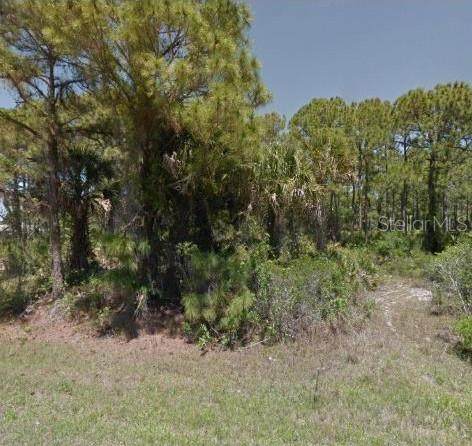 12054 Chamberlain Boulevard - Photo 1
