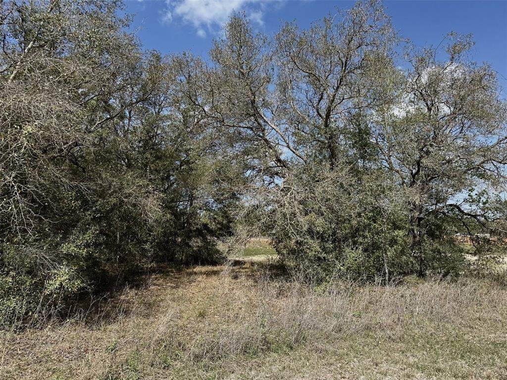 0 Courlan Road - Photo 1