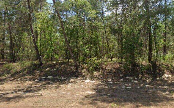27 Village Center Drive - Photo 1
