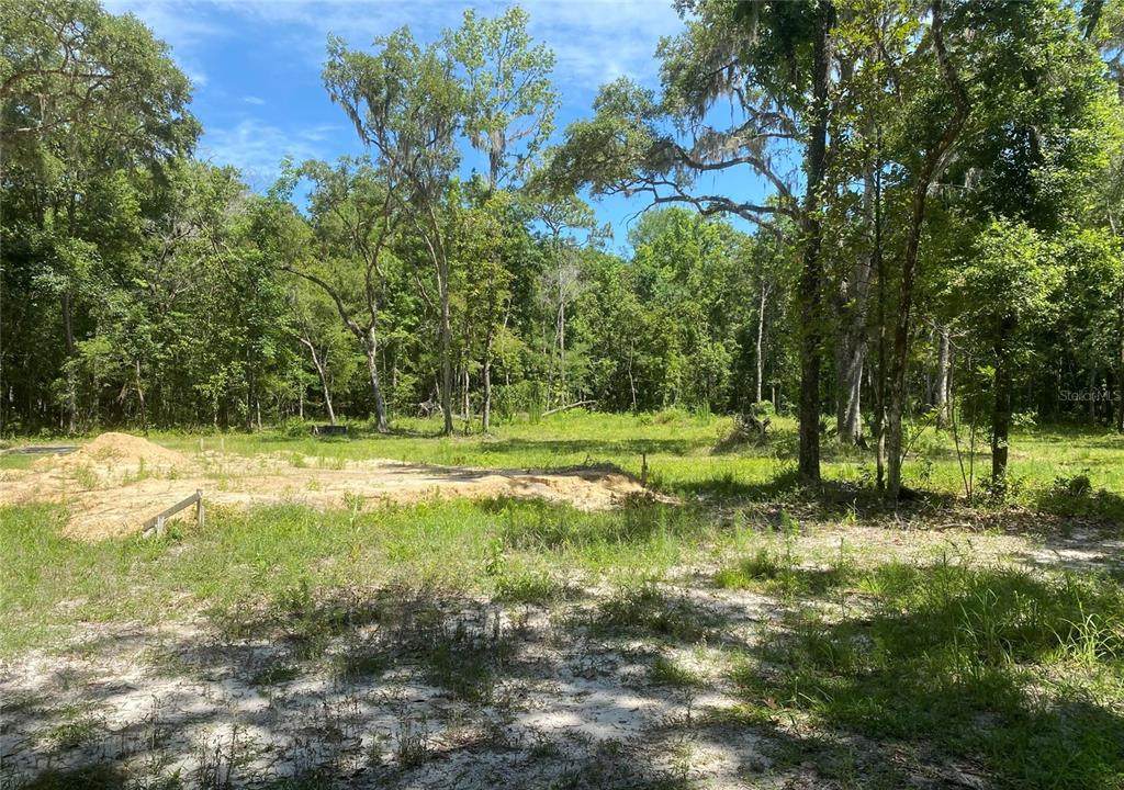  Snow Memorial Highway - Photo 1