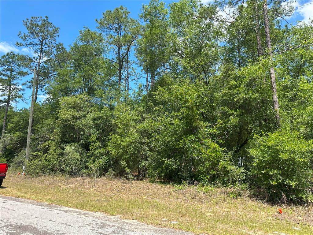 1571 Alexander Drive - Photo 1