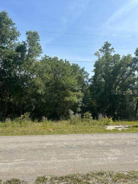 8284 Catrina Lane - Photo 1