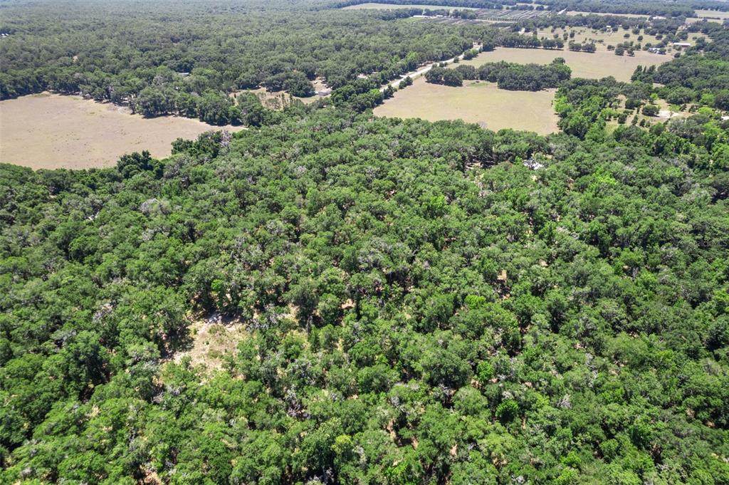 11426 Pleasant Grove Road - Photo 1