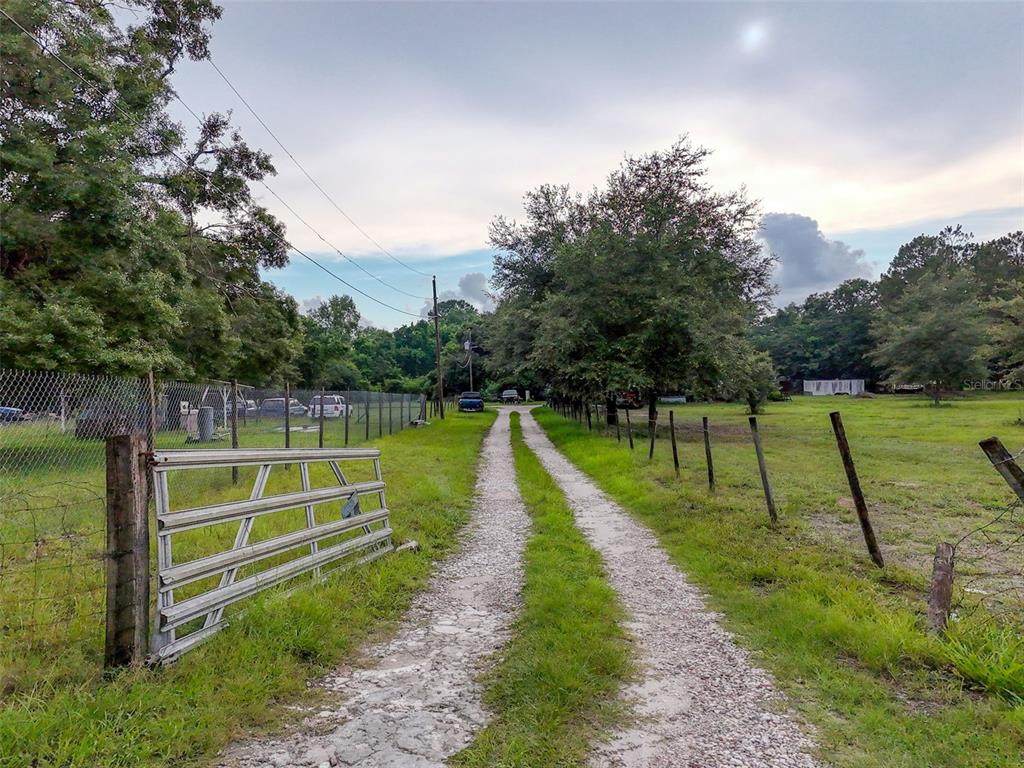 12445 Hamlin Road - Photo 1
