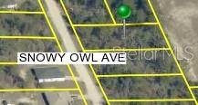 0 Snowy Owl Avenue - Photo 1