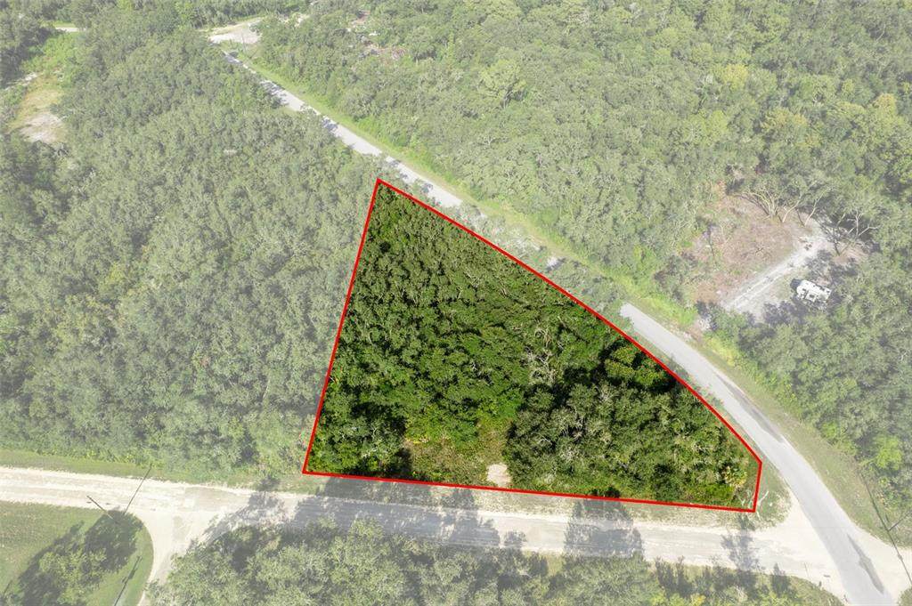  Bigelow Avenue - Photo 1